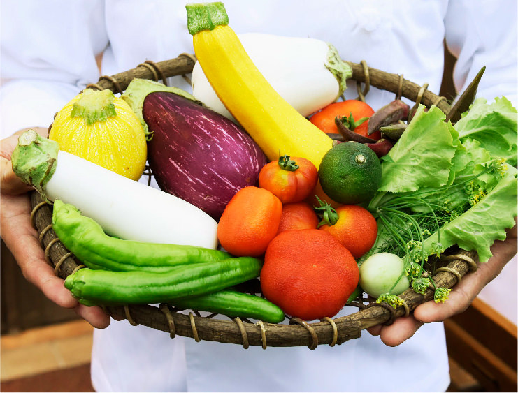 リストランテモトムラのこだわりの自分の手で育てた野菜